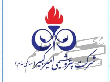 سید حسین سیدی : پتروشیمی امیرکبیر در آستانه پیوستن به هلدینگ خلیج فارس، آگهی عرضه منتشر شد