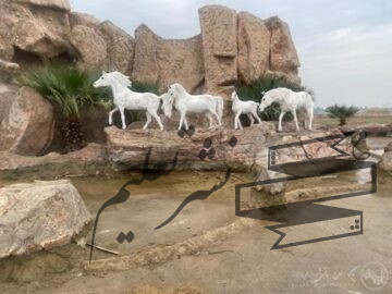 بهسازی و راه اندازی آبنمای پارک ربیع واقع در منطقه یک شهرداری اهواز