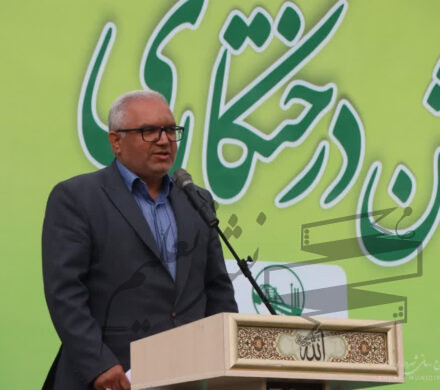مدیرعامل سازمان پارکها: در ۴ سال گذشته ۴۰۰ هکتار فضای سبز شهر را توسعه دادیم