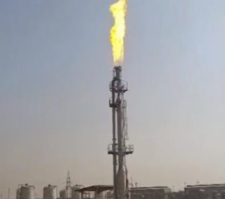 مارون حافظ همیشگی محیط زیست؛ این قسمت مشعل بدون دود