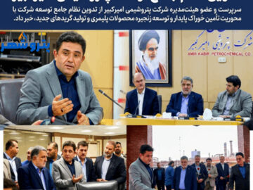 تدوین نظام جامع توسعه پتروشیمی امیرکبیر