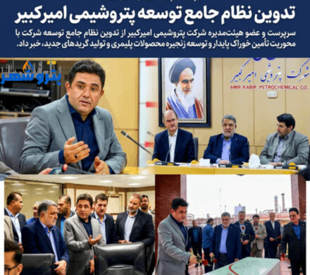 تدوین نظام جامع توسعه پتروشیمی امیرکبیر